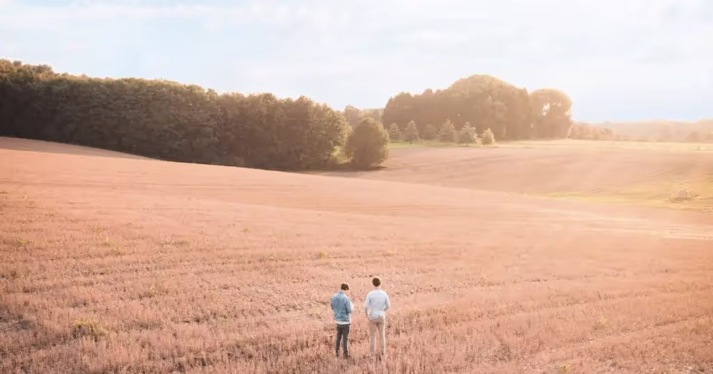 harvest season