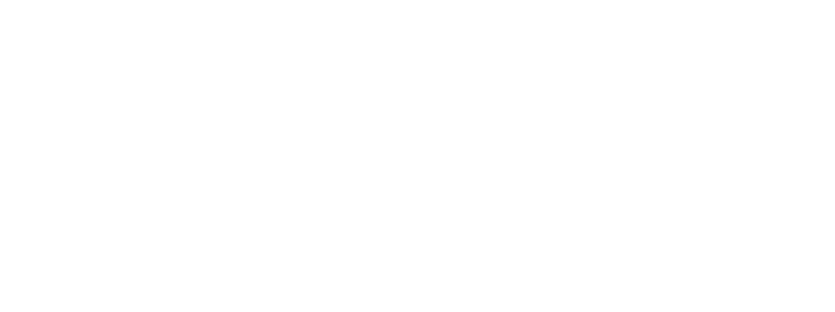 Celonis logo